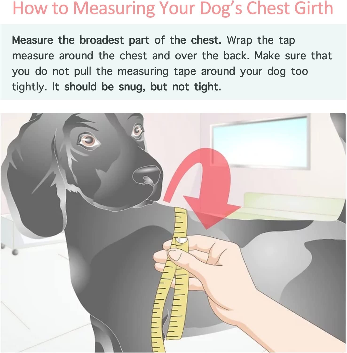 Pup Dog Hoodie, Dog Sweater, Fashion Dog Clothes, Pet Clothing Cotton Cat Hoodies Stylish Streetwear Sweatshirt Gray Tracksuits Outfit for Dog Cat Puppy Small Medium Large (L)