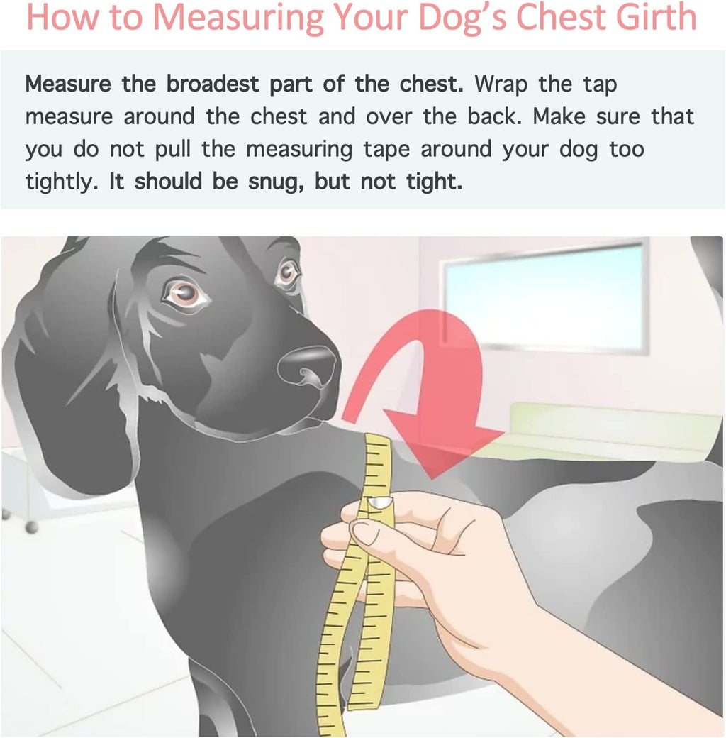 Stylish Dog Hoodie Dog Clothes Streetwear Cotton Sweatshirt Fashion Outfit for Dogs Cats Puppy Small Medium Large (2XL, White)