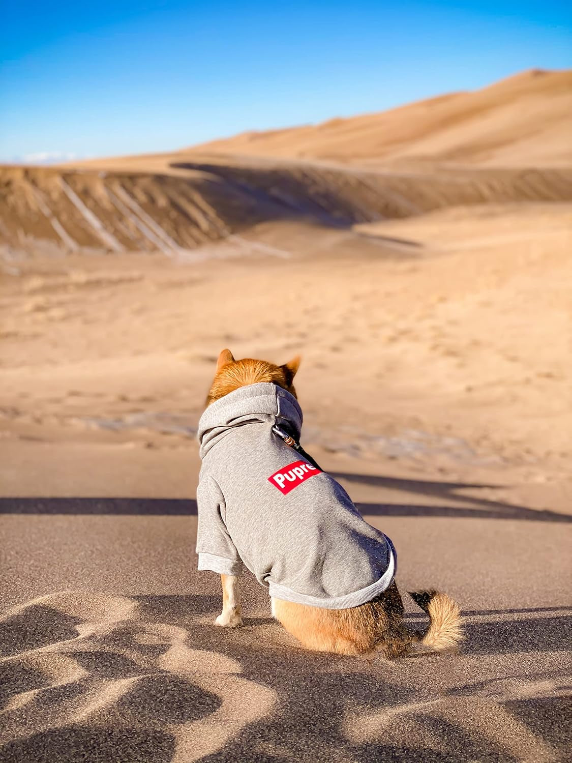 Pup Dog Hoodie, Dog Sweater, Fashion Dog Clothes, Pet Clothing Cotton Cat Hoodies Stylish Streetwear Sweatshirt Gray Tracksuits Outfit for Dog Cat Puppy Small Medium Large (L)