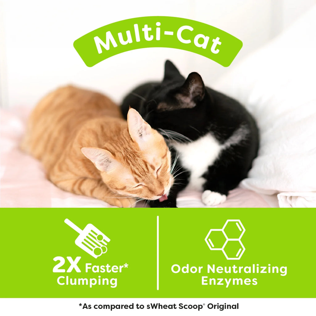 Multi-Cat Natural Clumping Wheat Cat Litter, 15Lb