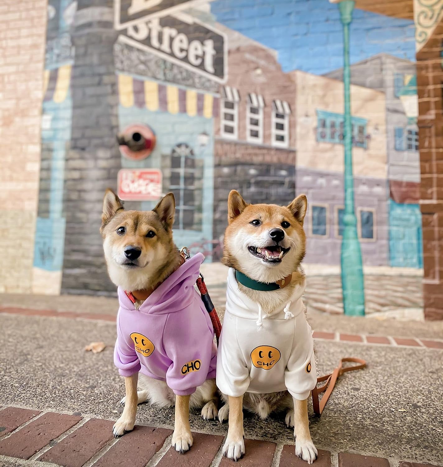 Smiley Dog Hoodie Stylish Dog Clothes Smiley Face Sweater Cotton Sweatshirt Fashion Outfit for Dogs Cats Puppy Small Medium Large (L, White)