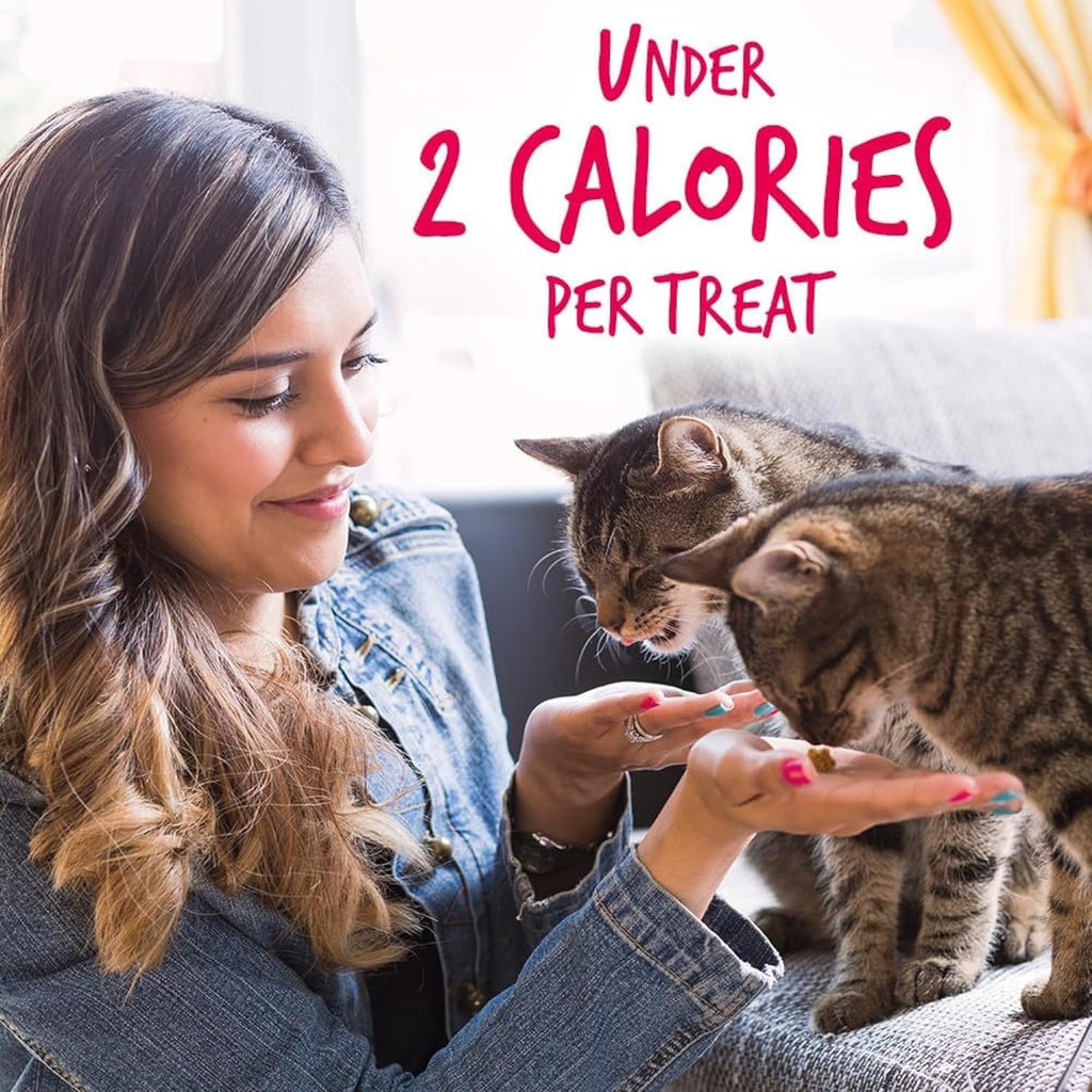 Cat Crunchy Treats for Cats – Healthy Low Calorie Packed with Protein – No Wheat, Corn or Soy – Made with Real Salmon with Cranberry – 2.5 Ounces