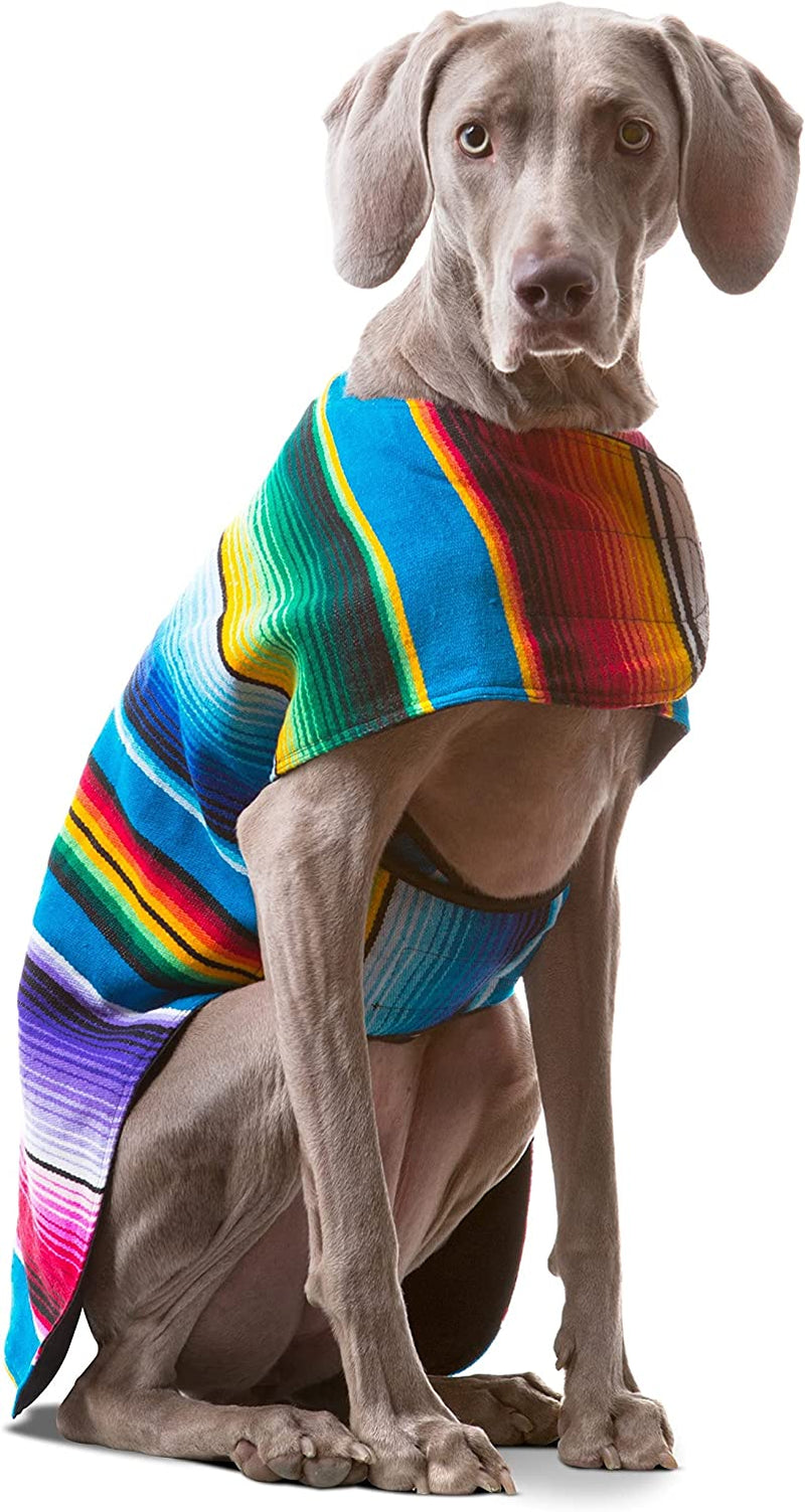 Dog Clothes - Handmade Dog Poncho from Authentic Mexican Blanket by  (Blue, Small)