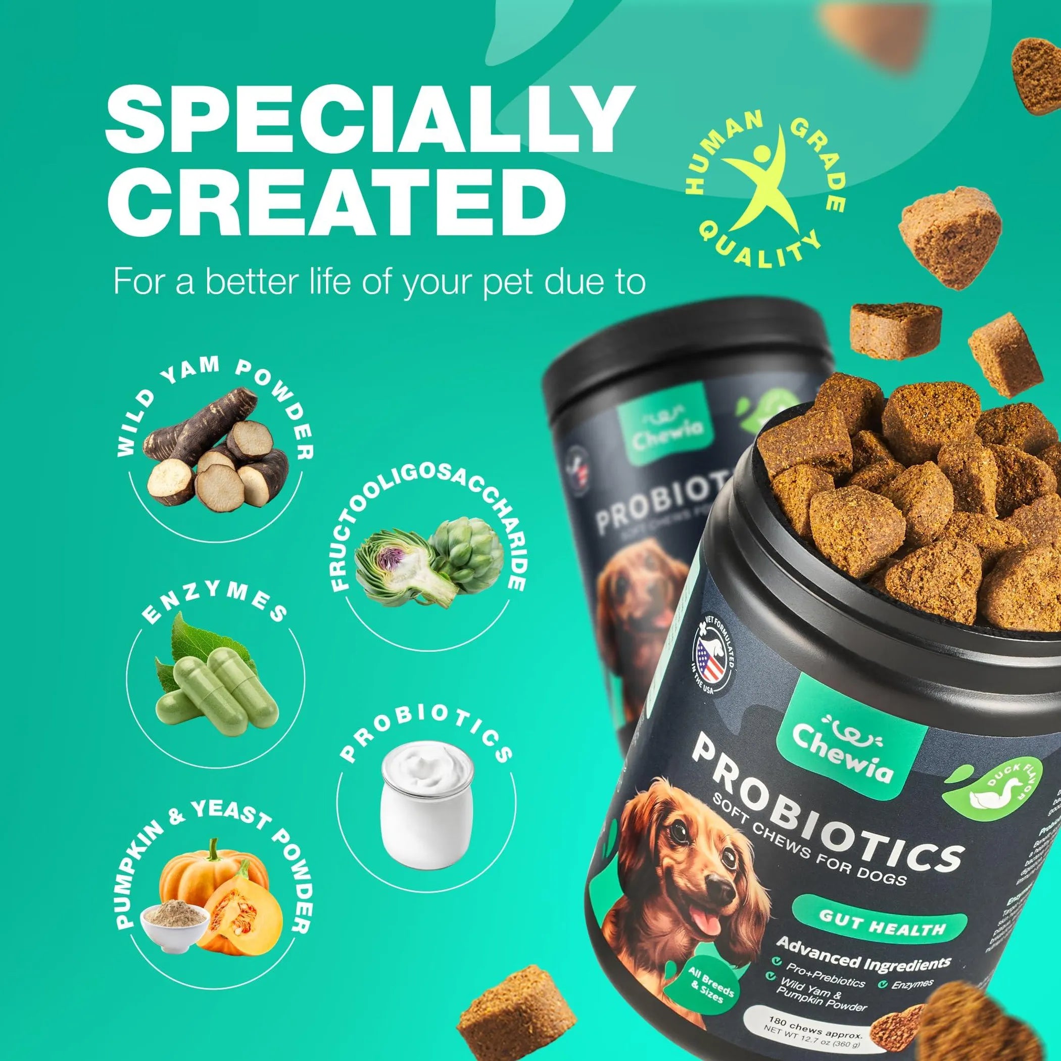 Probiotics for Dogs Gut Health Digestion