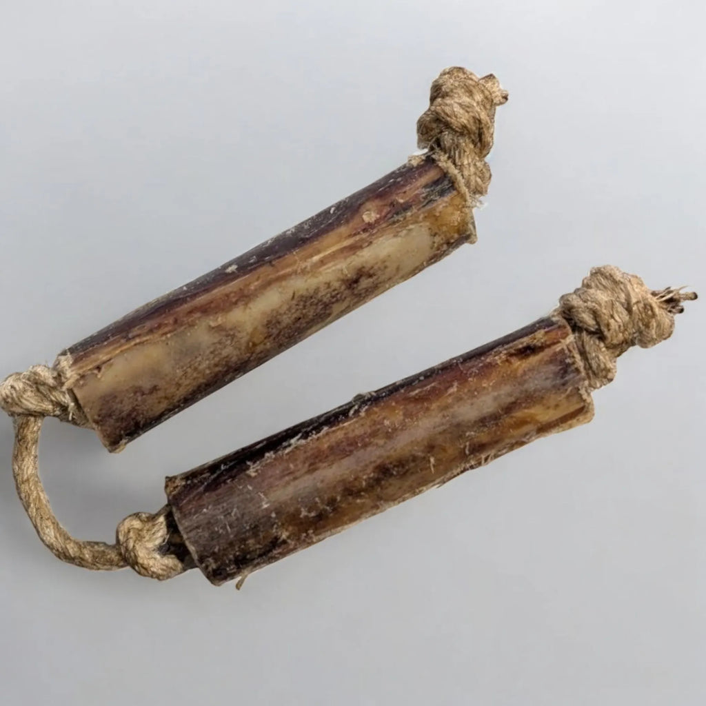 Ostrich Bone Chew with Rope : The Ultimate Chew Toy for Avid Chewers & Active Dogs