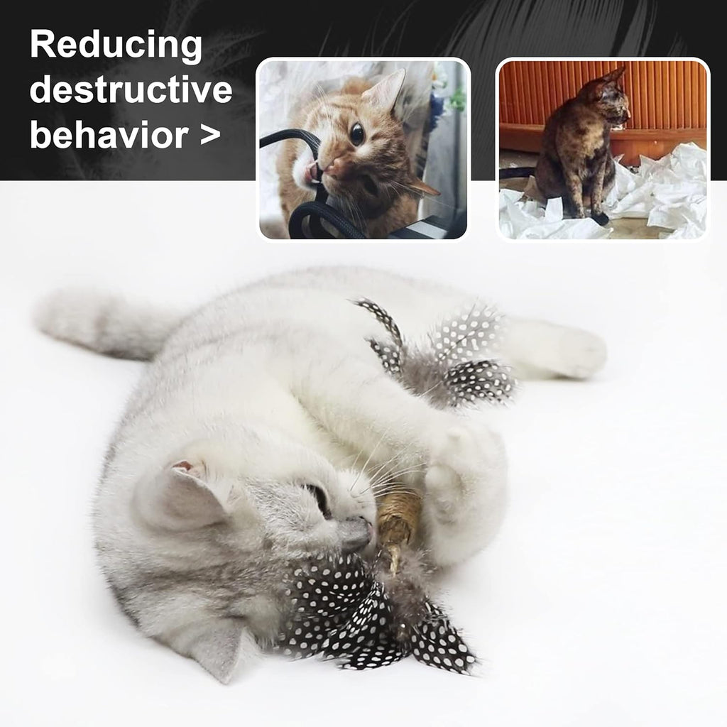 Catnip Toy Cat Toys Catnip Toy Cat Chew Toy Cat Kicking Silvervine Stick Teeth Cleaning Cute Kitten Teething Indoor Interactivecat Dental Care Matatabi (Feather 2Pcs)