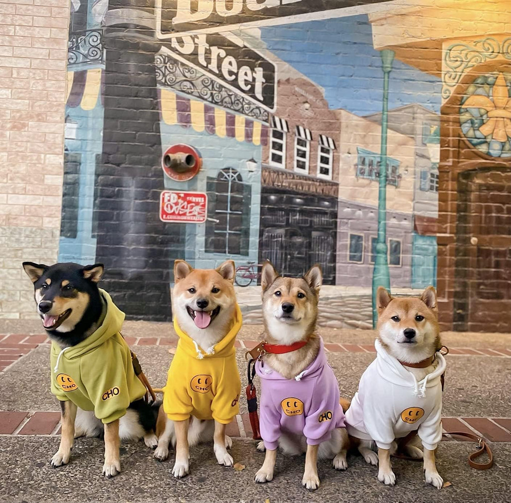 Smiley Dog Hoodie Stylish Dog Clothes Smiley Face Sweater Cotton Sweatshirt Fashion Outfit for Dogs Cats Puppy Small Medium Large (L, White)