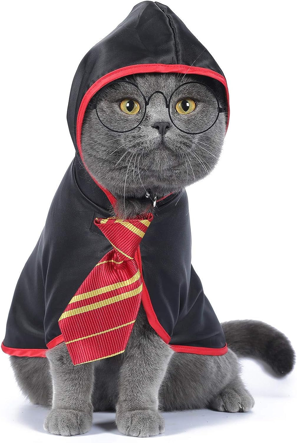 Cat Halloween Costume Anime Pet Clothes for Small Dog Kitten Costume Wizard Accessories Outfits (M)