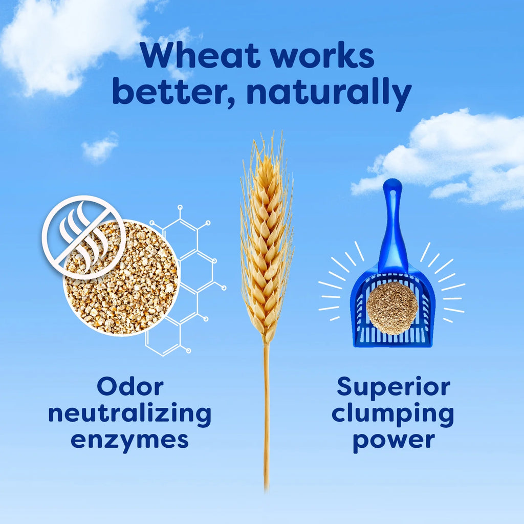 Multi-Cat Natural Clumping Wheat Cat Litter, 15Lb