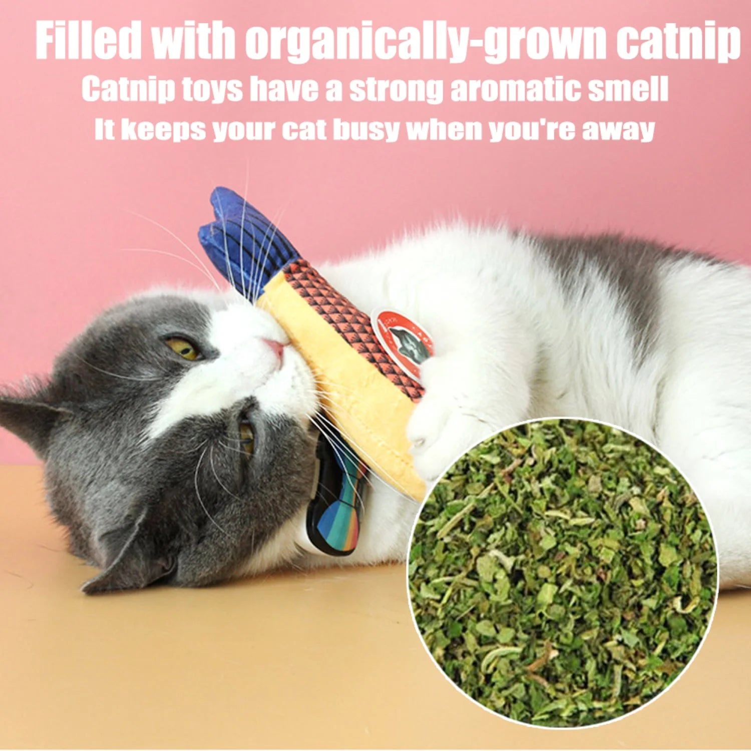 Cats Catnip Toys,Likaty Realistic Fish Interactive Toys for Kitty Pets
