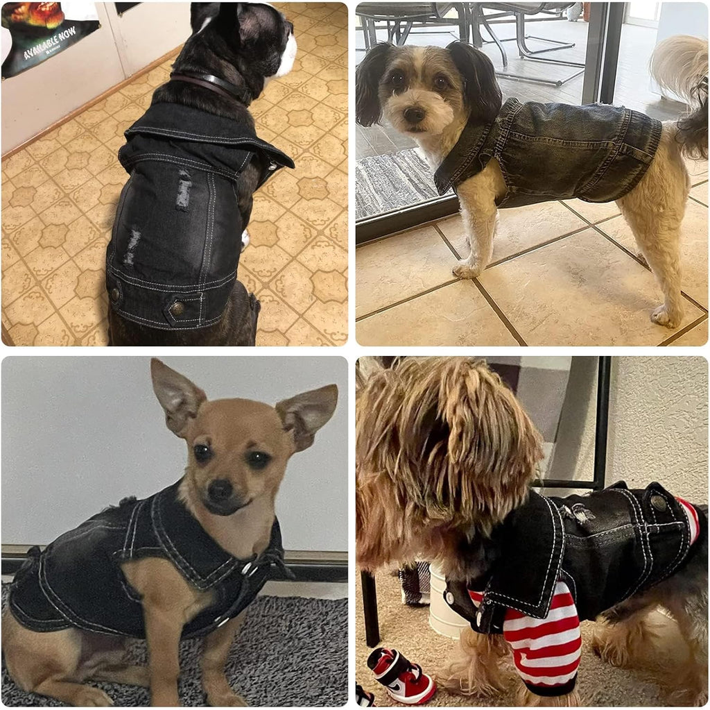 Cool Dog Jean Jacket Small Puppy Outfits Frenchie Clothes Denim Coats for Small Medium Dogs Cats Boys Girls Pet Vest Dog Shirt Clothing Doggy Costume (Black, Xxl（Suggest 15-20 Lbs）)