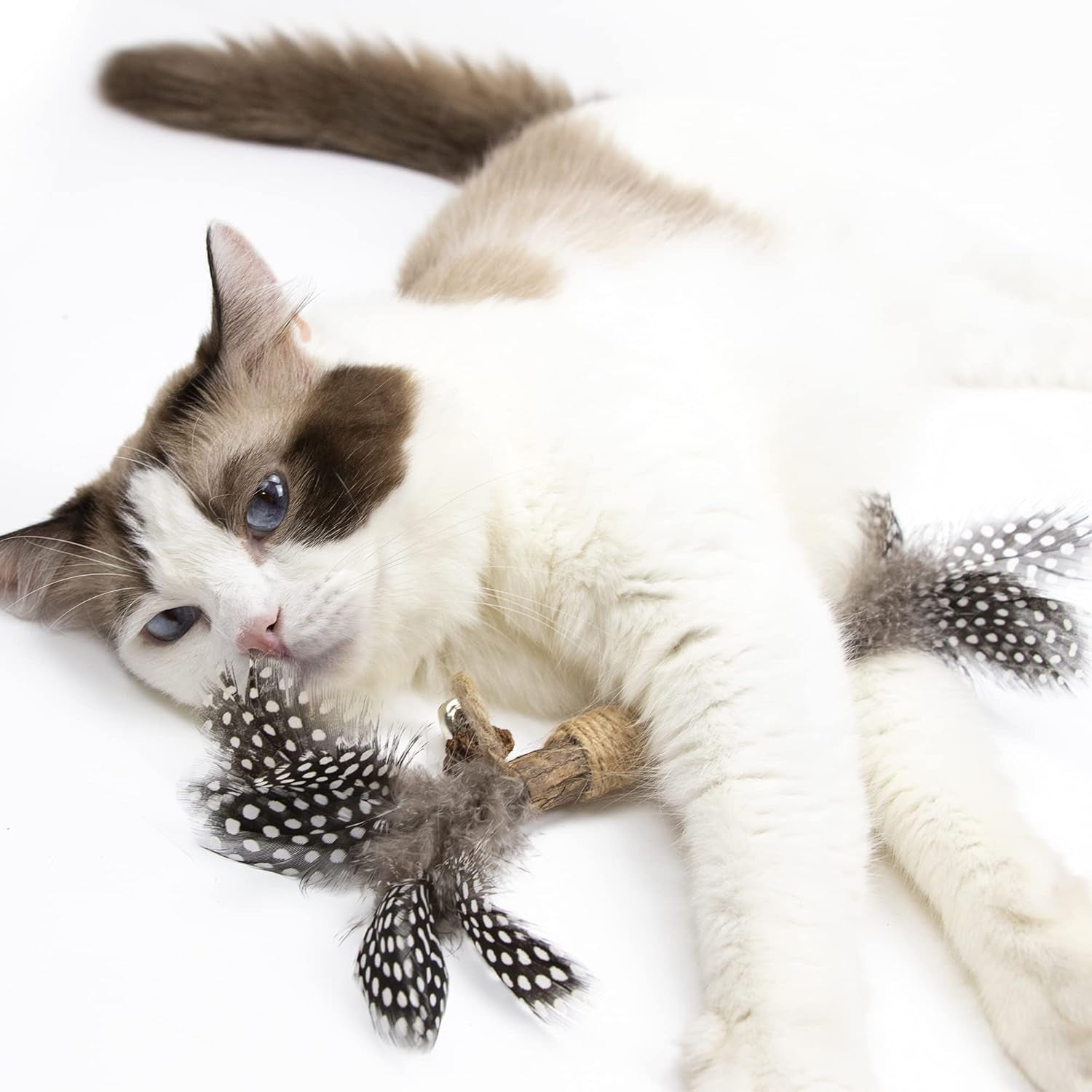 Catnip Toy Cat Toys Catnip Toy Cat Chew Toy Cat Kicking Silvervine Stick Teeth Cleaning Cute Kitten Teething Indoor Interactivecat Dental Care Matatabi (Feather 2Pcs)