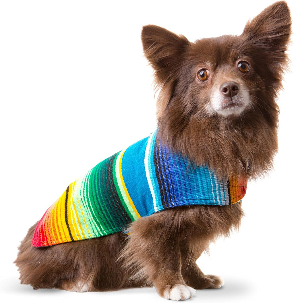 Dog Clothes - Handmade Dog Poncho from Authentic Mexican Blanket by  (Blue, Small)