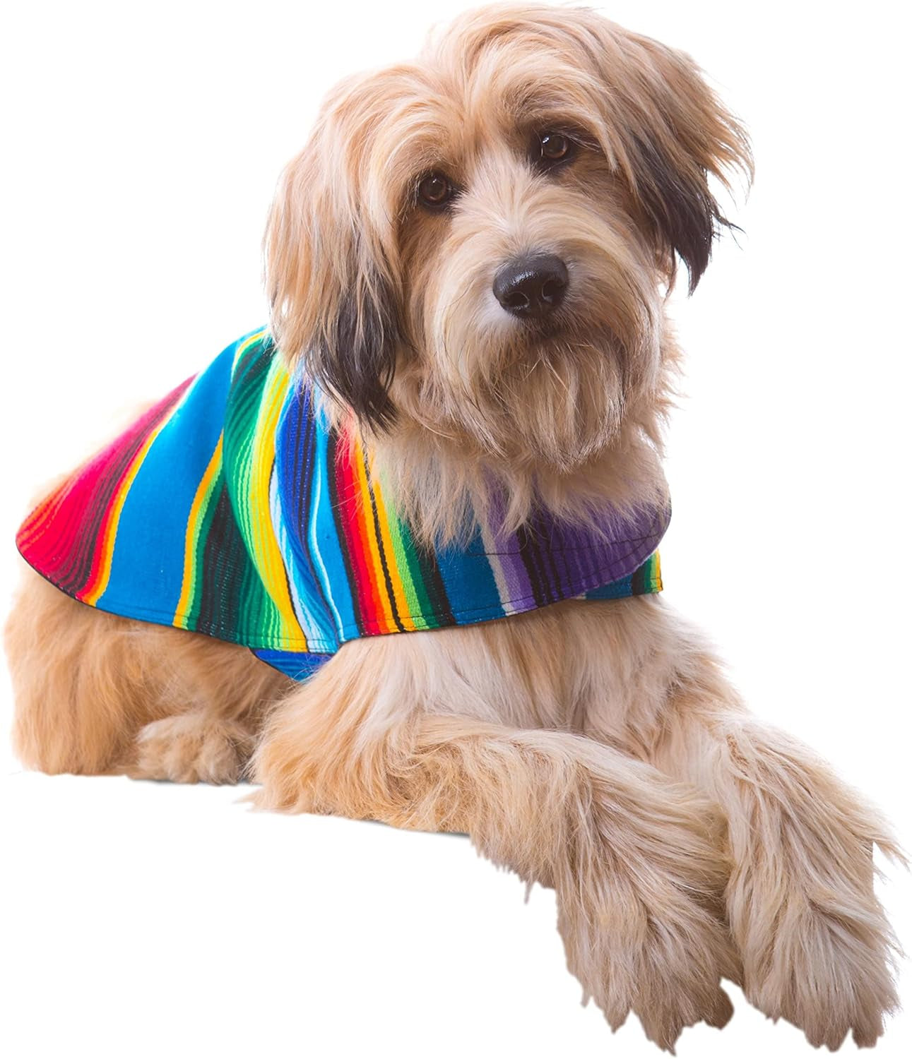 Dog Clothes - Handmade Dog Poncho from Authentic Mexican Blanket by  (Blue, XXL)