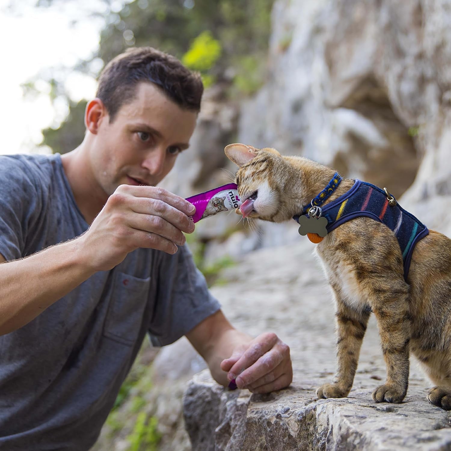 Freestyle Grain-Free Perfect Purees Premium Wet Cat Treats, Squeezable Meal Topper for Felines, High Moisture Content to Support Hydration, 0.5 Ounces in Each Lickable Wet Cat Treat Pouch