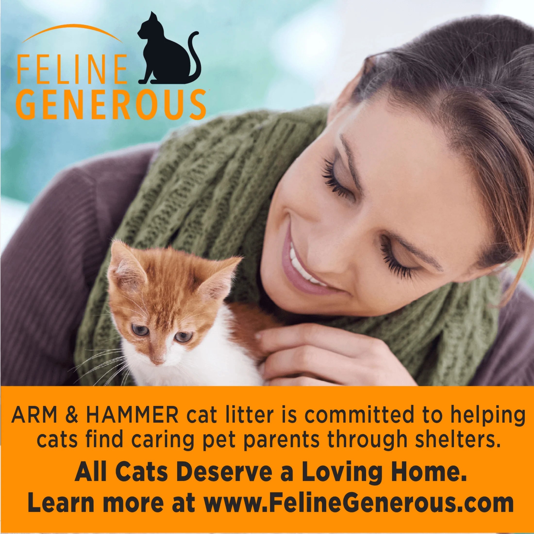 Clump & Seal Cat Litter Multi-Cat Complete Odor Sealing Clay Clumping Cat Litter, 38 Lb