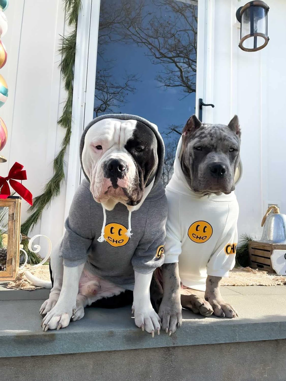 Smiley Dog Hoodie Stylish Dog Clothes Smiley Face Sweater Cotton Sweatshirt Fashion Outfit for Dogs Cats Puppy Small Medium Large (L, White)