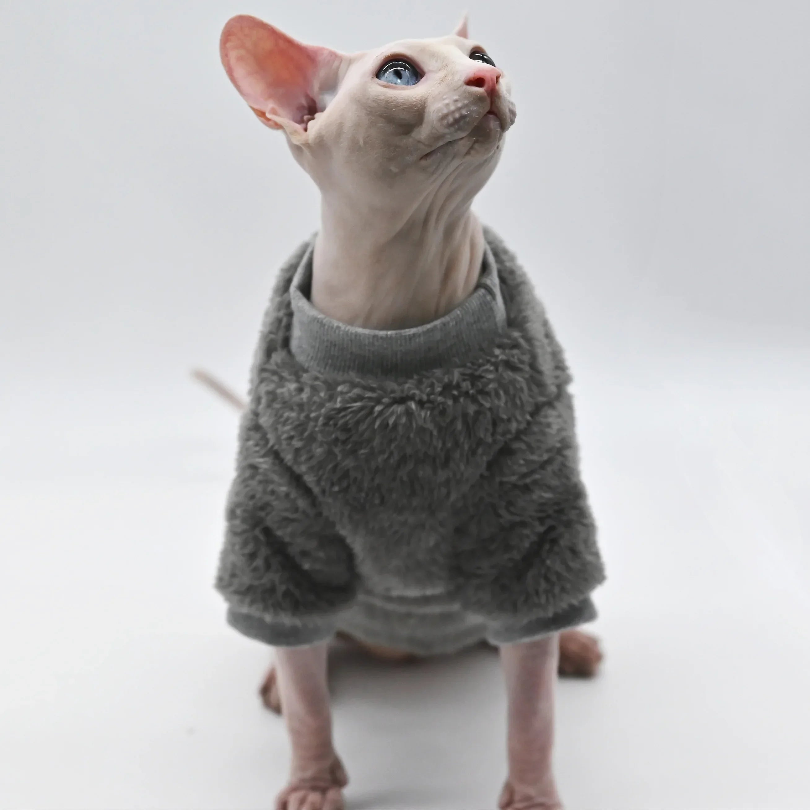Soft Double-Sided Fluffy Winter Jacket Warmth Coat for Cat Thickening Sphinx Sphynx Cat Clothes Hairless Cat Outfits