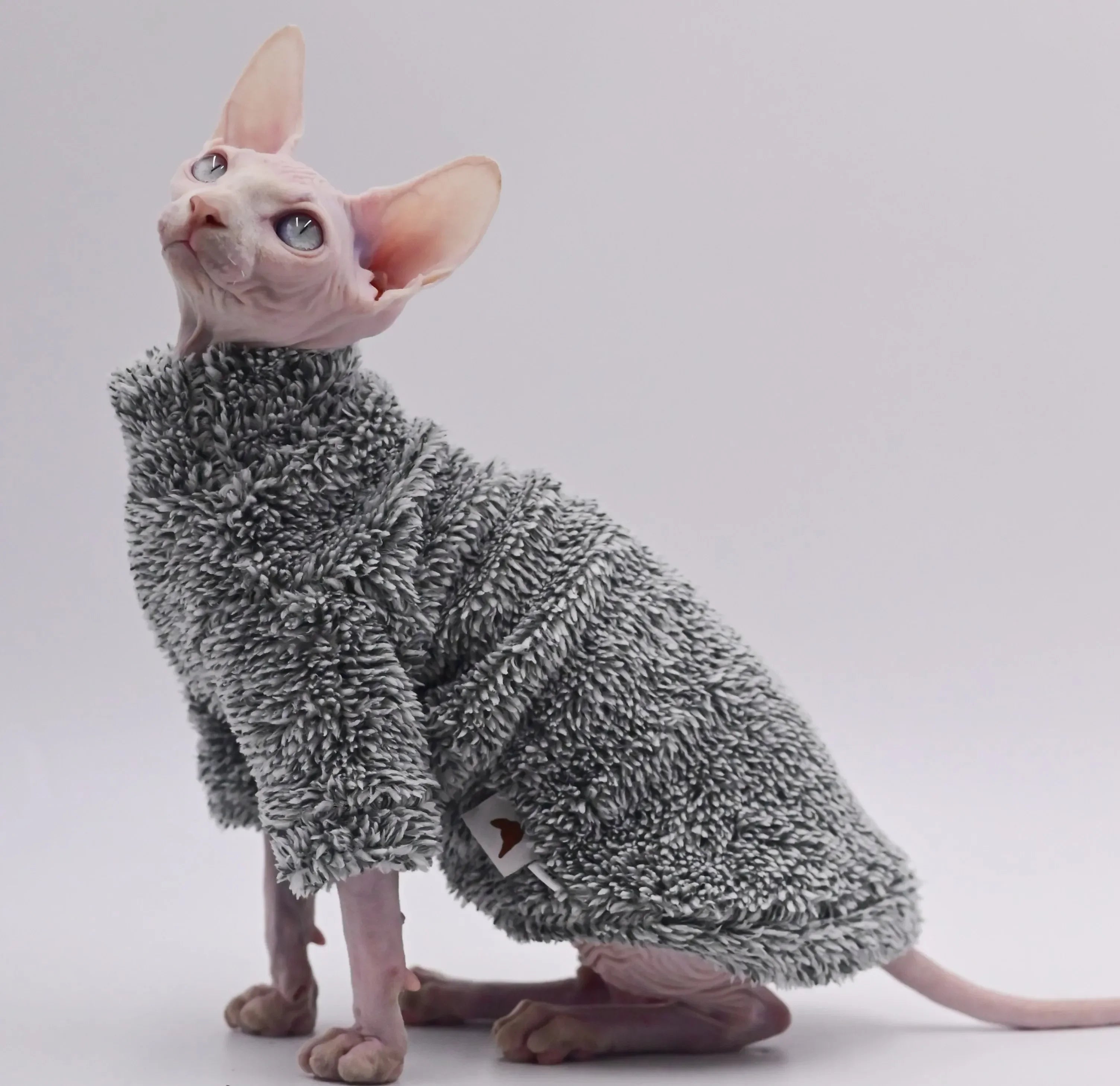 Soft Double-Sided Fluffy Winter Jacket Warmth Coat for Cat Thickening Sphinx Sphynx Cat Clothes Hairless Cat Outfits