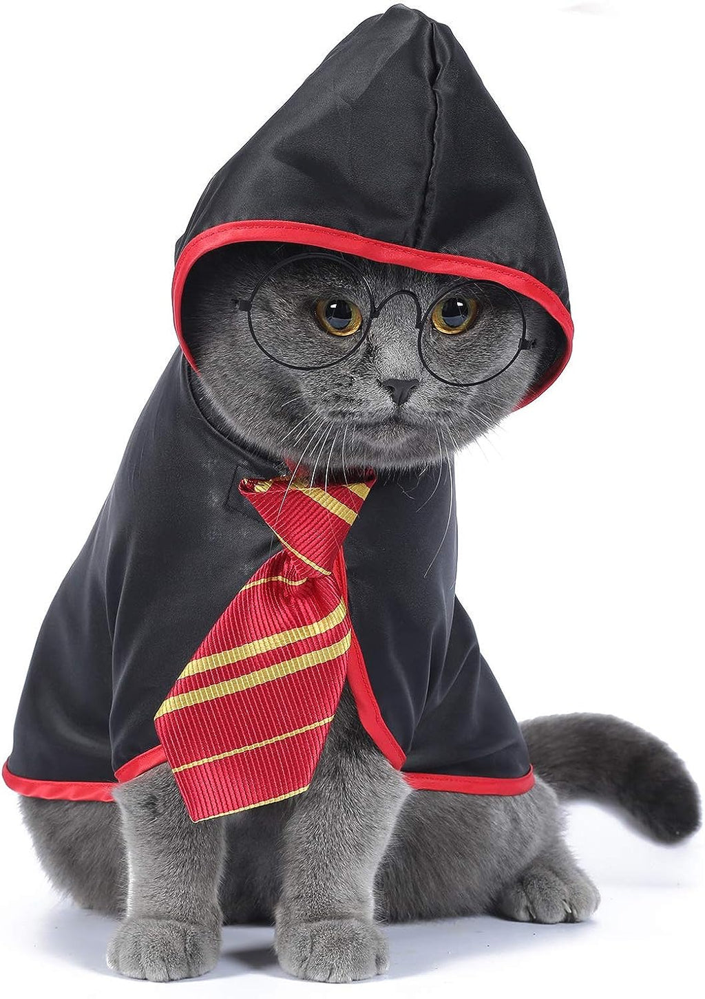 Cat Halloween Costume Anime Pet Clothes for Small Dog Kitten Costume Wizard Accessories Outfits (M)