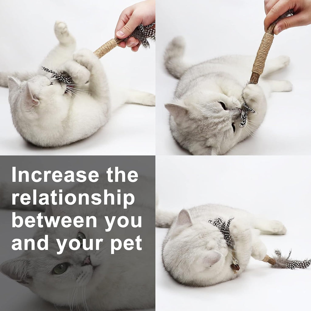 Catnip Toy Cat Toys Catnip Toy Cat Chew Toy Cat Kicking Silvervine Stick Teeth Cleaning Cute Kitten Teething Indoor Interactivecat Dental Care Matatabi (Feather 2Pcs)