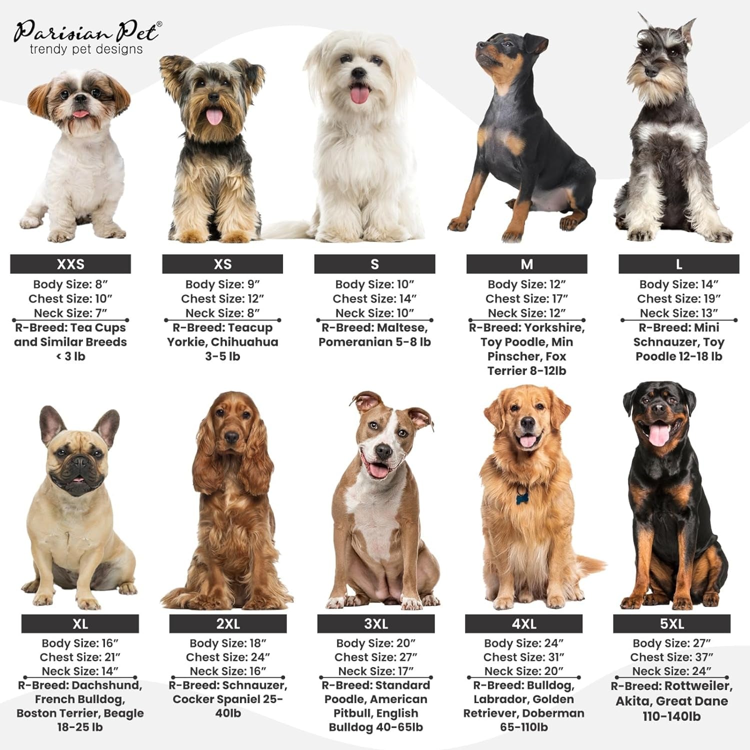 Dog Cat Clothes Tee Shirts Little Brother T-Shirt, XL