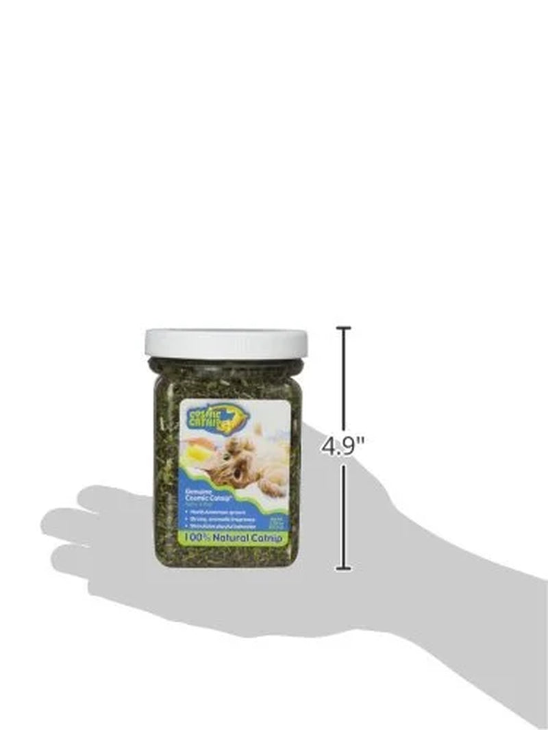 Ourpets PREMIUM North-American Grown Catnip 2.25 Oz Jar Cosmic Catnip for Cats