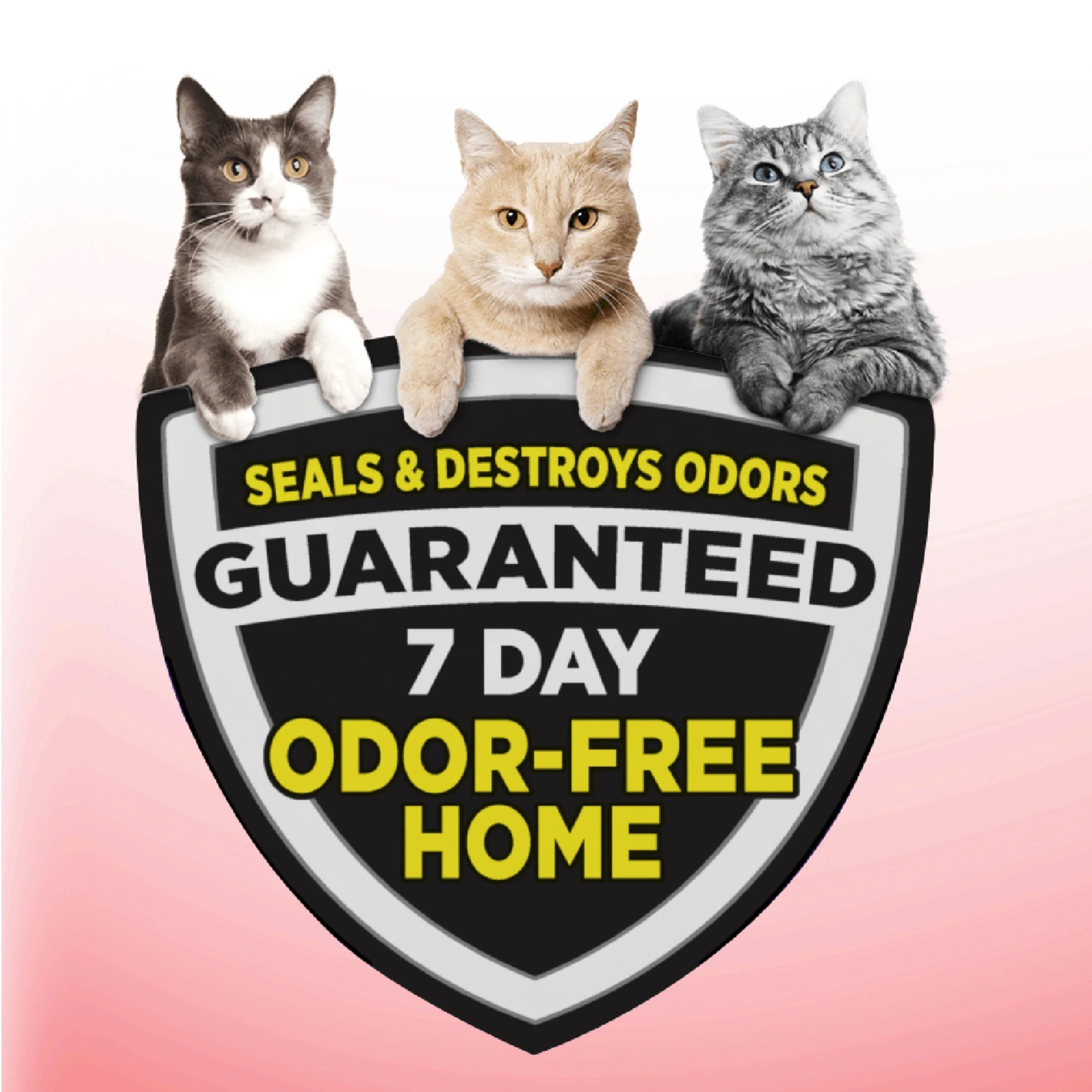 Clump & Seal Cat Litter Multi-Cat Complete Odor Sealing Clay Clumping Cat Litter, 38 Lb