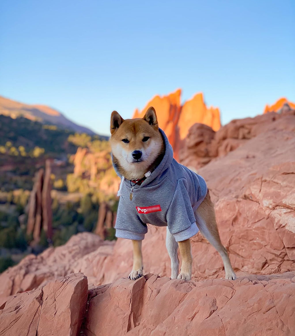 Pup Dog Hoodie, Dog Sweater, Fashion Dog Clothes, Pet Clothing Cotton Cat Hoodies Stylish Streetwear Sweatshirt Gray Tracksuits Outfit for Dog Cat Puppy Small Medium Large (L)