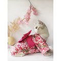 Small Dog and Cat Clothes