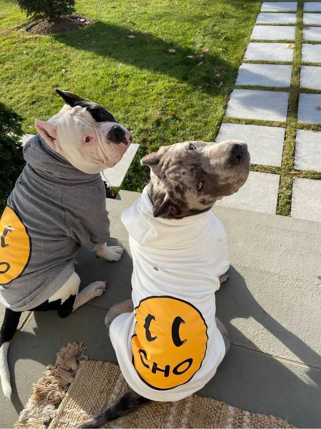 Smiley Dog Hoodie Stylish Dog Clothes Smiley Face Sweater Cotton Sweatshirt Fashion Outfit for Dogs Cats Puppy Small Medium Large (L, White)