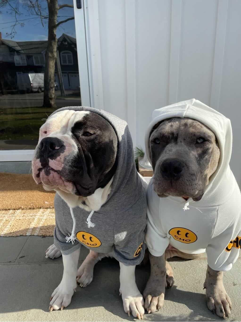 Smiley Dog Hoodie Stylish Dog Clothes Smiley Face Sweater Cotton Sweatshirt Fashion Outfit for Dogs Cats Puppy Small Medium Large (L, White)