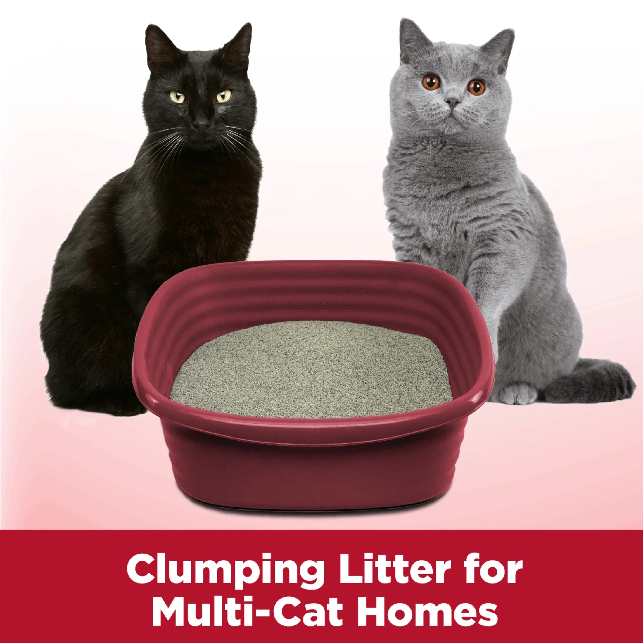 Clump & Seal Cat Litter Multi-Cat Complete Odor Sealing Clay Clumping Cat Litter, 38 Lb