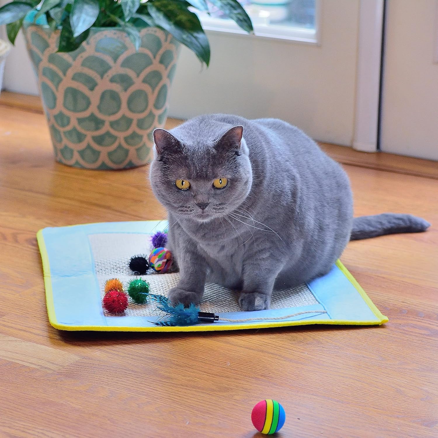 18 Cat Toys Kitten Toys Assortments, Cat Teaser Wand, Interactive Bell Toy, Sparkle Balls for Cat, Puppy, Kitty, Kitten (With Square Tunnel and Scratching Mat)